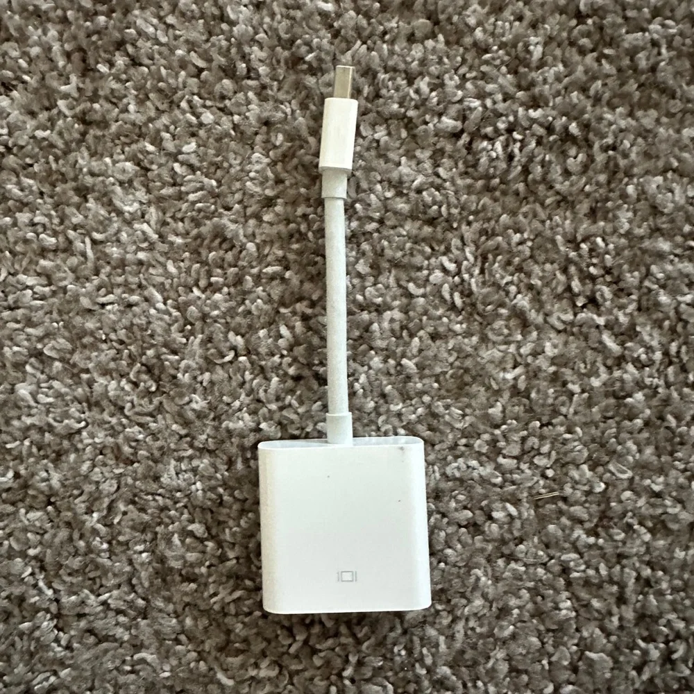 Apple Mini DisplayPort to DVI Adapter
